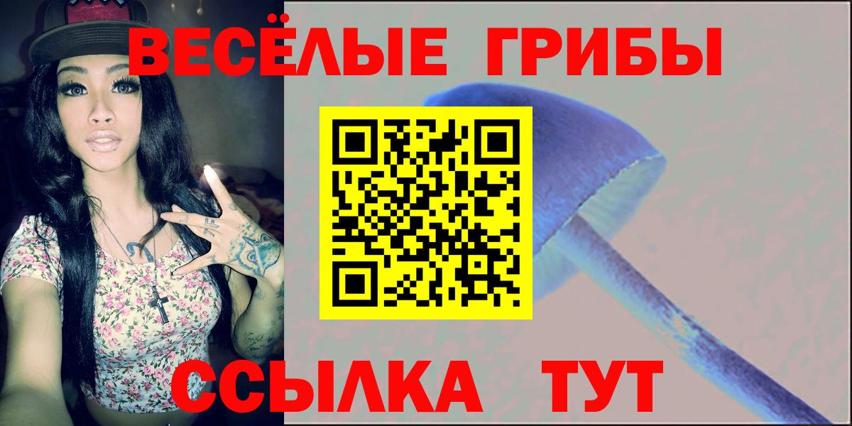 Новоалександровск  Псилоцибиновые грибы мицелий  Вход с VPN  Псилоцибиновые грибы мухоморы 