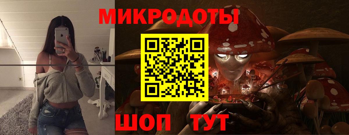 Галлюциногенные грибы мицелий Новоалександровск