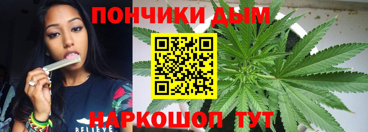 Каннабис сатива Новоалександровск