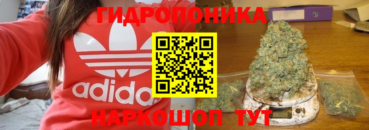 Новоалександровск  Канабис семена  Бошки Шишки марихуана  Канабис THC 21%  Вход с VPN 